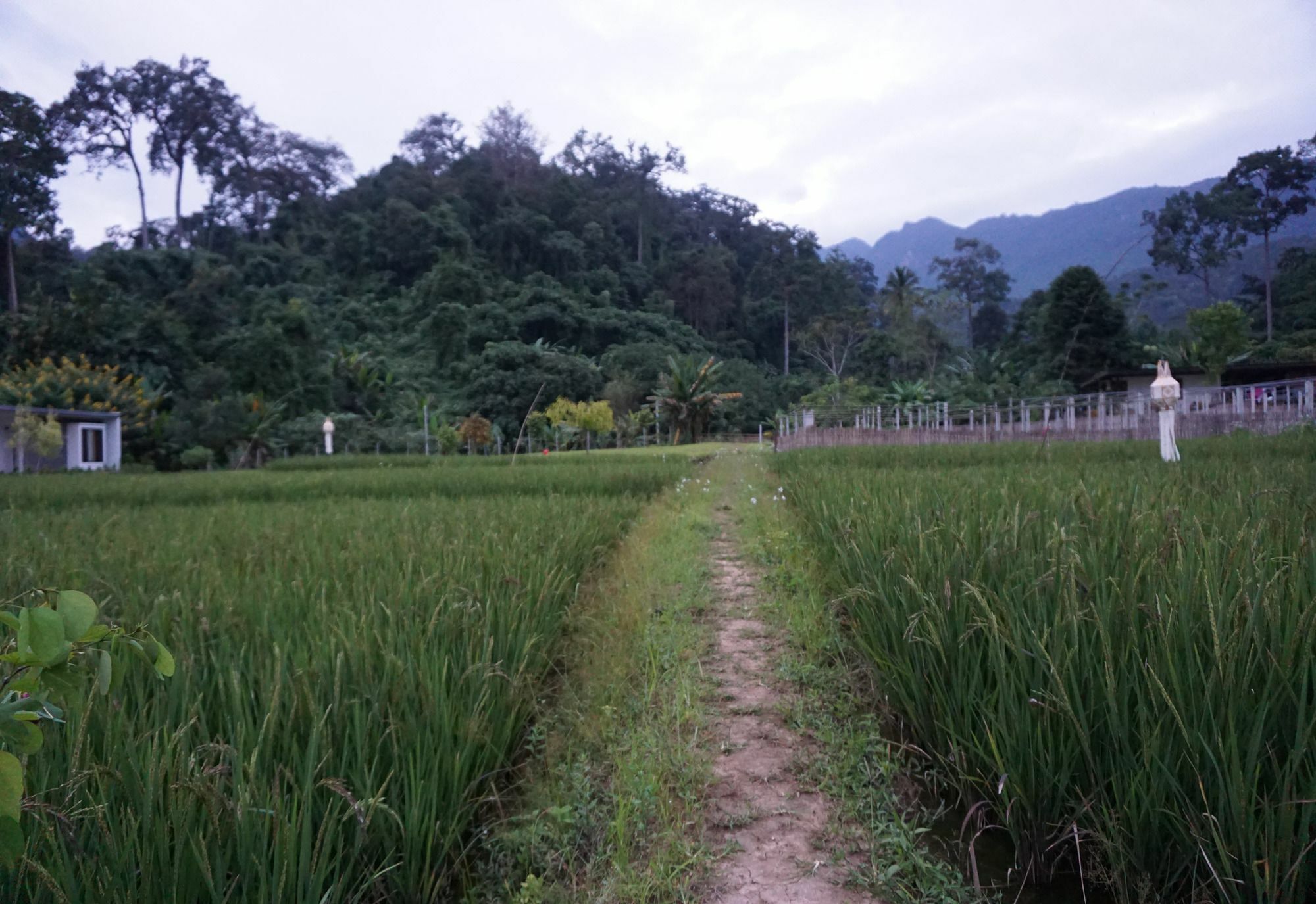 Villa De View Chiang Dao Eksteriør bilde